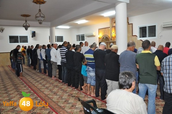 msajed amer qder 804 (53).JPG